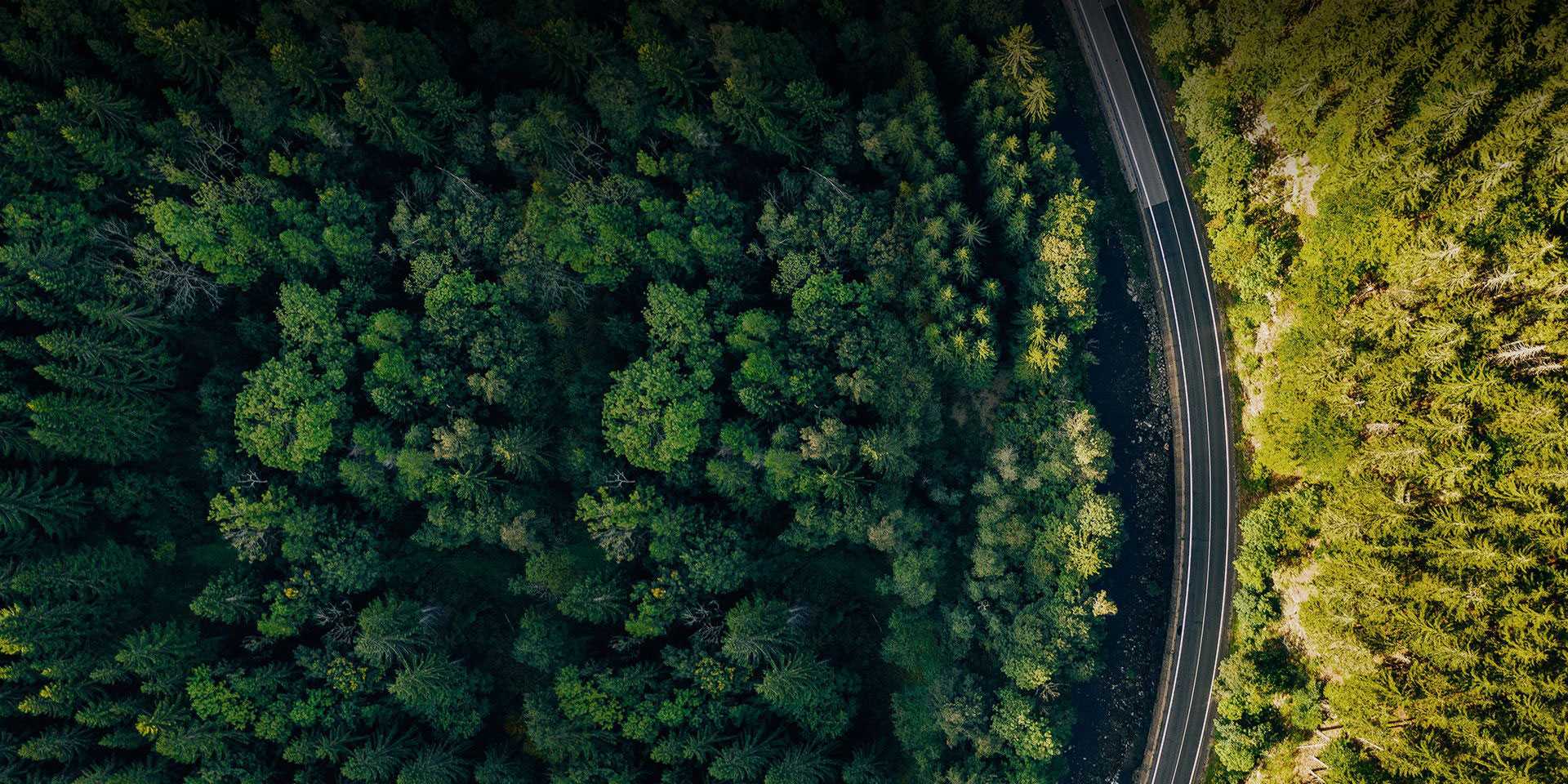 衛(wèi)華集團有限公司北京分公司